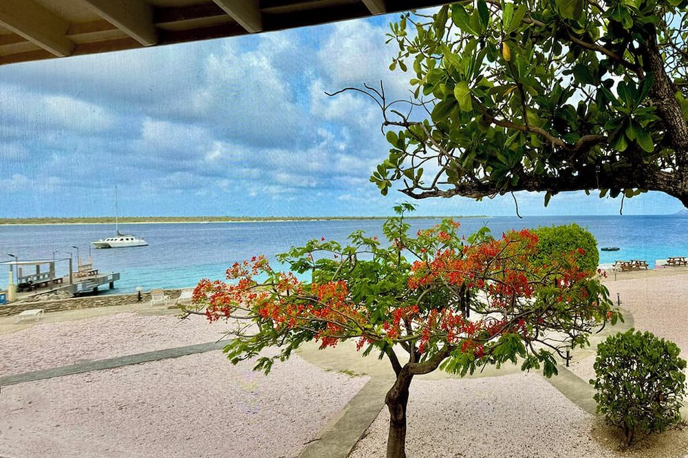 Kralendijk Condo | Stunning Oceanfront 2-Bed, High End Remodel, Luxury Furnishings, Sand Dollar A6