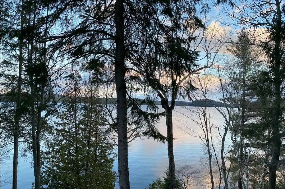 Huntsville Cottage | Water Front Cottage with dock - 5 min from the town, pet-friendly