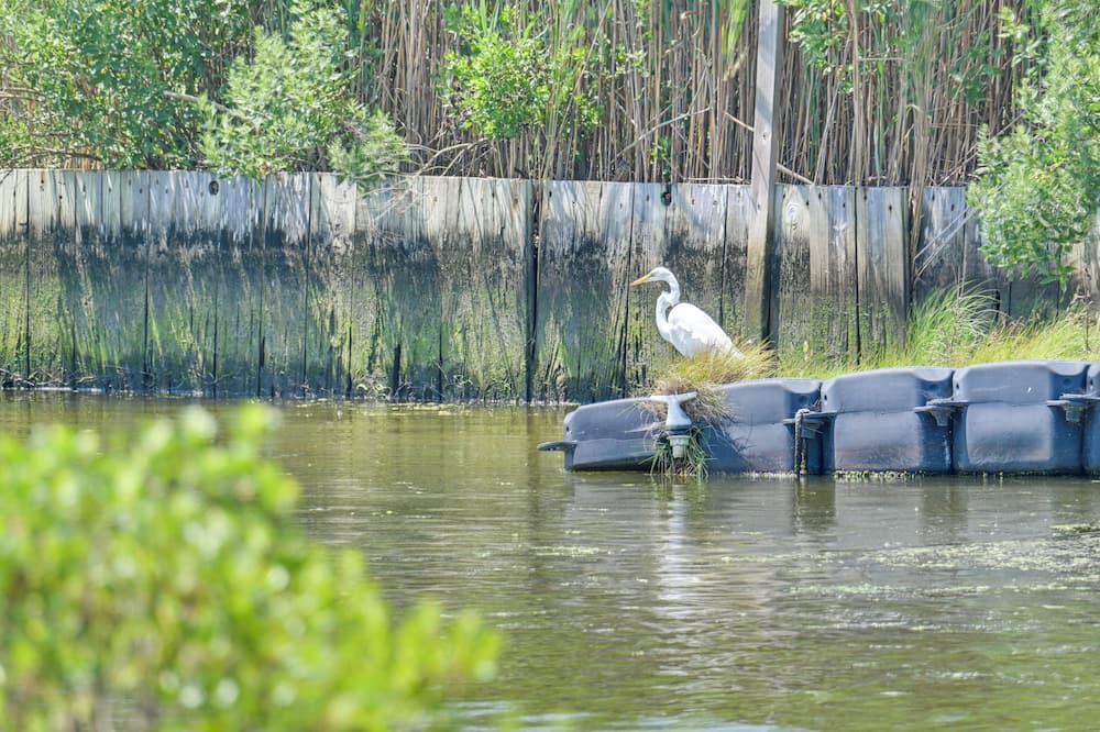 Remsenburg House | Hamptons Retreat w/Private Dock, Kayak & Canoe!