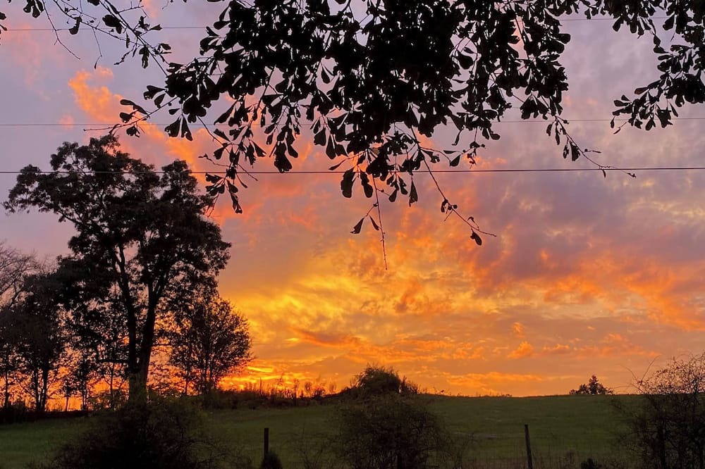Jersey Cottage | Farm Stay - Spend the night in a converted grain silo on a working tree farm!