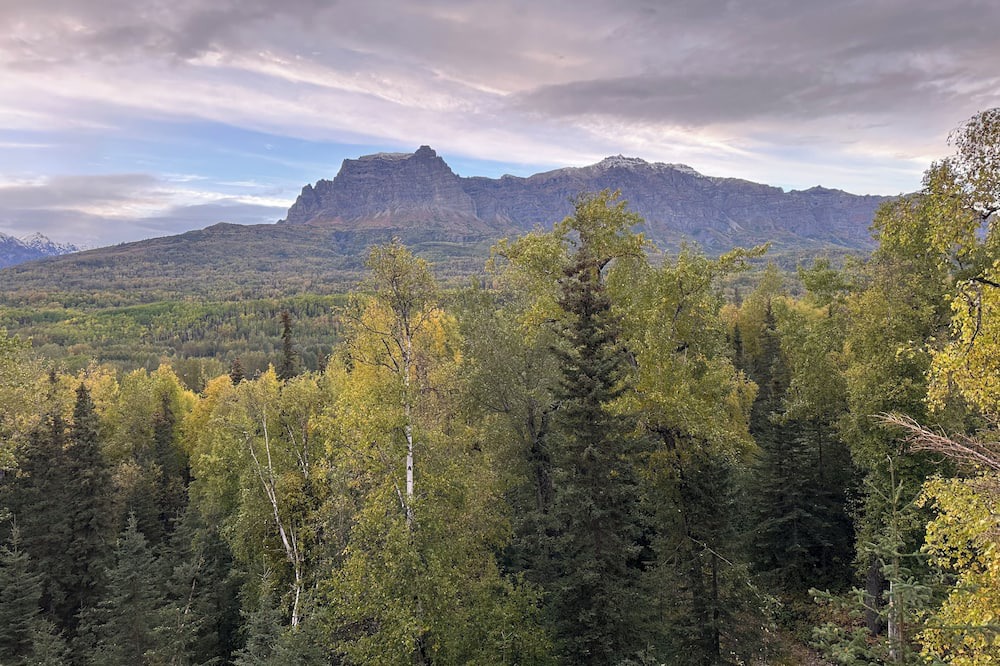 Sutton Cabin | Welcome to the DRY DUCK, off the grid dry cabin that creates great memories!
