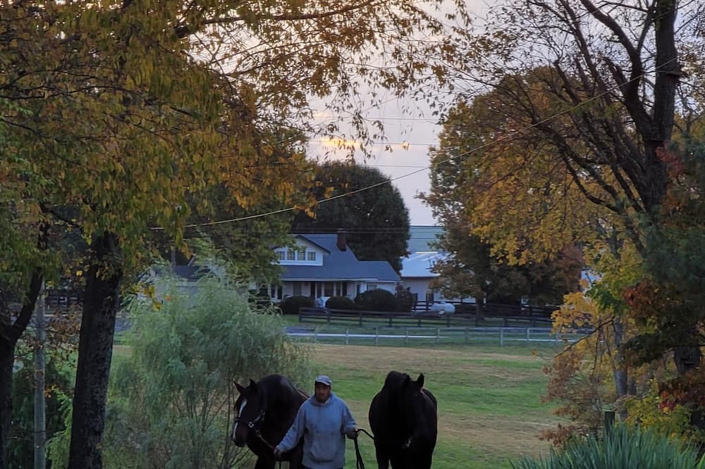 Georgetown Cabin | Horse Country Heaven