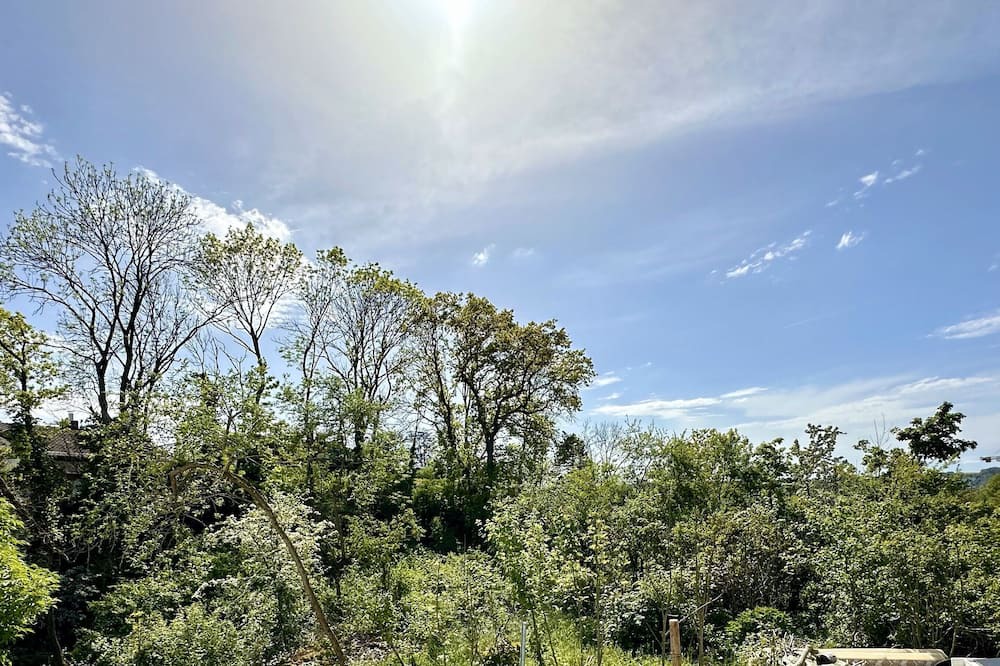 Bad Friedrichshall Apartment | Vrbo Property