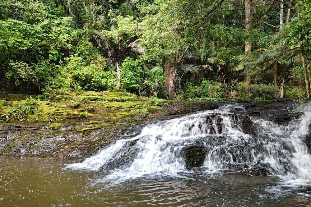 Warkworth Cabin | Hot Tub overlooking a waterfall, near beaches, vineyards, Matakana, Brick Bay