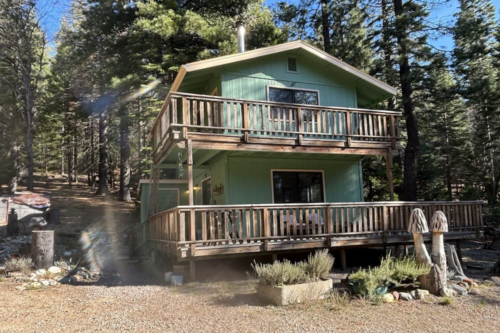 Weed House | Cozy one bedroom home in the woods 5 miles from the town of Mount Shasta.