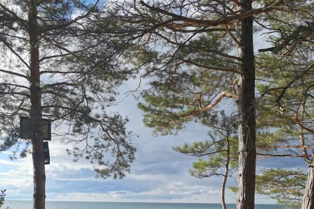 Tiny House | 3 Bdrm Family Escape - Steps from Sandy Beach!