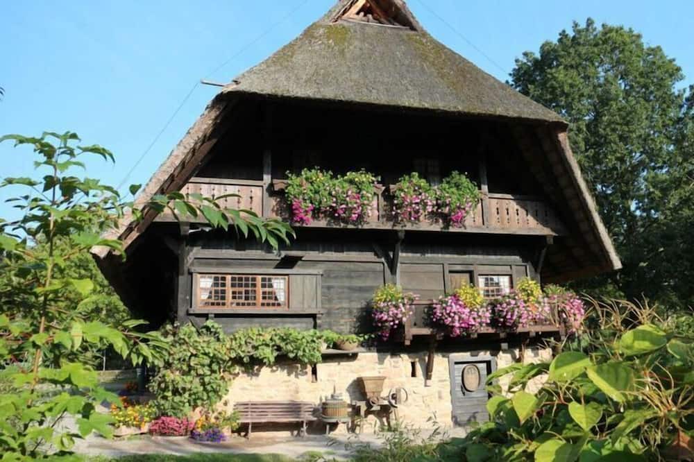 Zell am Harmersbach Apartment | Appealing apartment in Zell am Harmersbach