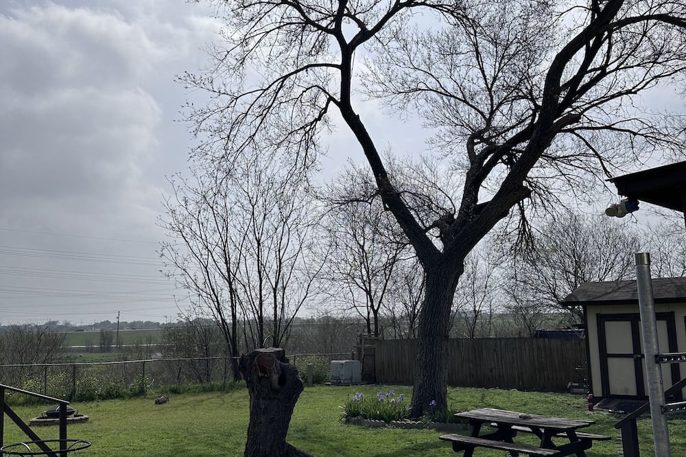 Del Valle Apartment | Green Haven Studio near ABIA COTA Austin SXSW Airport F1