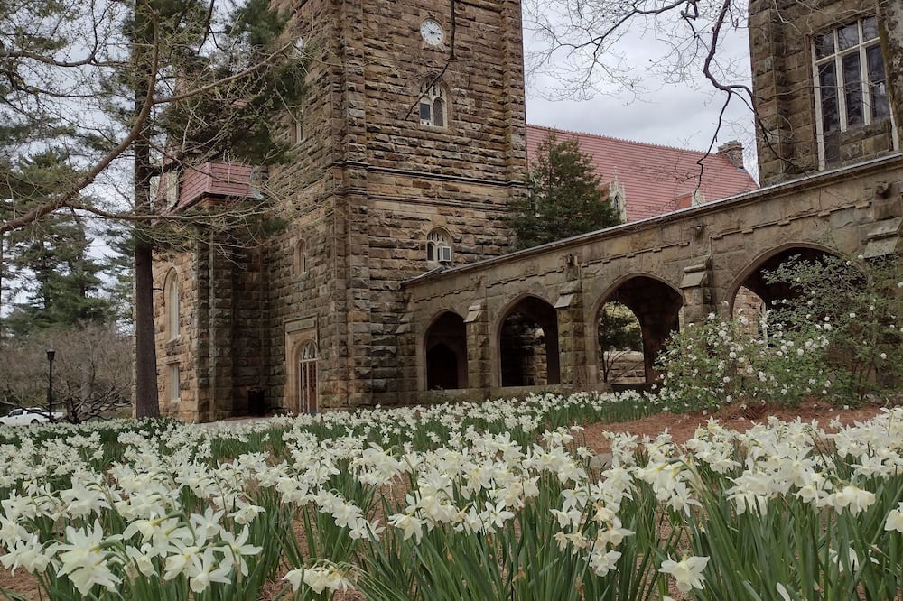 Saint Andrews House | Quiet, cozy, remodeled private Sewanee home on University of The South Domain