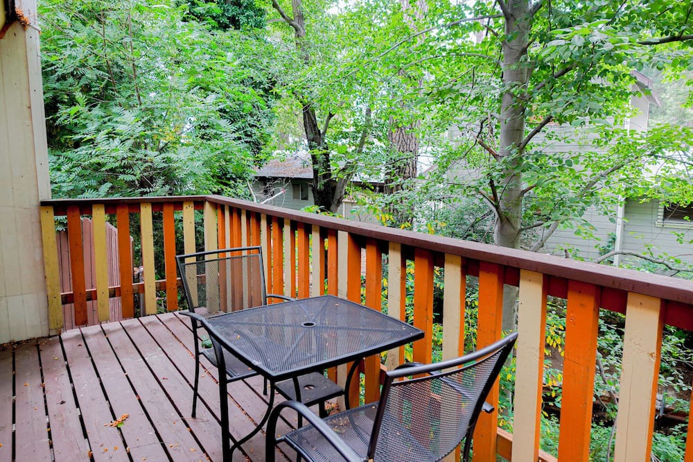 Crestline Apartment | Grey Squirrel in Crestline Mountains