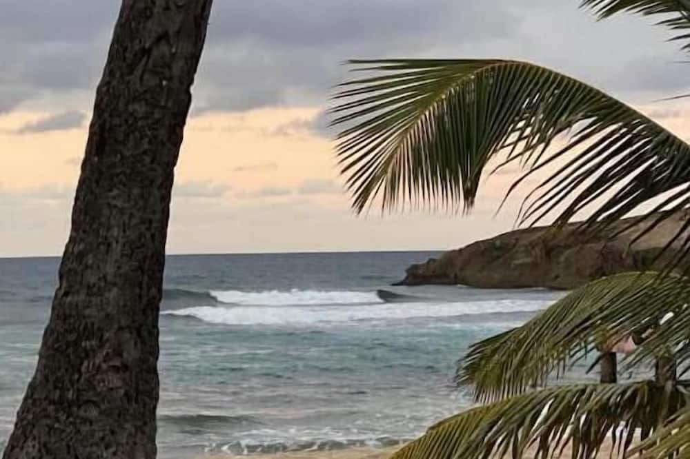 Camuy House | Marie Guest House A/C entire house