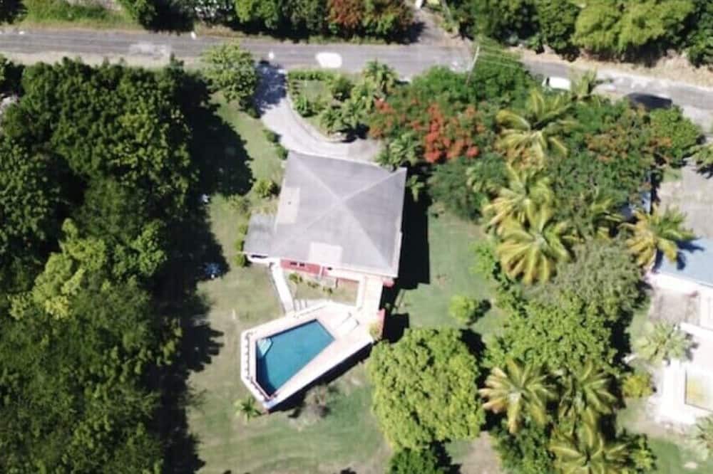 Old Towne House | Bananaquit at the beach!