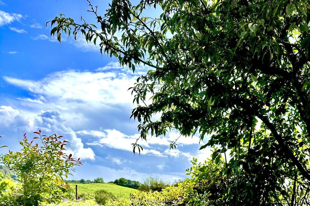 Charlton Horethorne Cottage | Renovated Cottage in Sherborne with Stunning Views