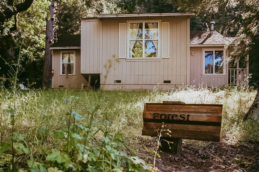 Hopland Cottage | Idyllic wine country cottage surrounded by fir & oak trees - water view patio
