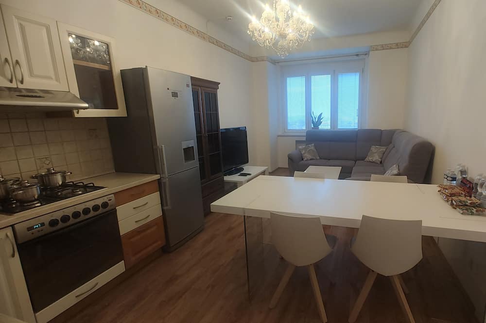 Podoli Apartment | Apartmán Executive - Pankrác (90m2)