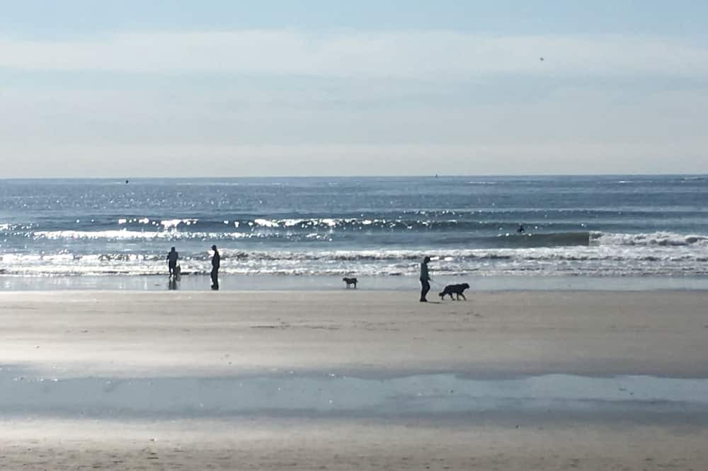 Kennebunk Cottage | Very private setting on 6 acres,1 mile to beaches and 1 mile to Dock Square.