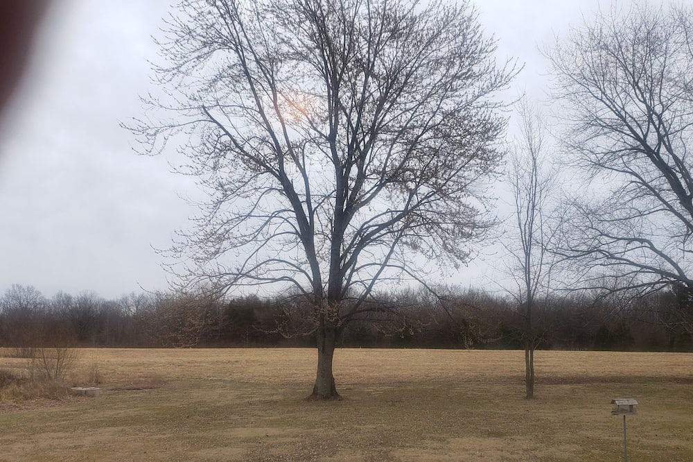 Ozark RV Rental | Primitive camping for April 8th 2024 southern illinois eclipse