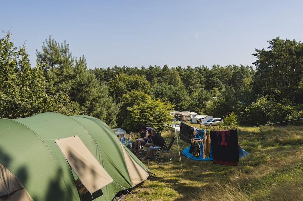 Wilsum RV Rental | In the morning you wake up to the chirping birds and the sun's rays invite you to come outside. Become one with nature and come and enjoy a relaxed and wonderful holiday!