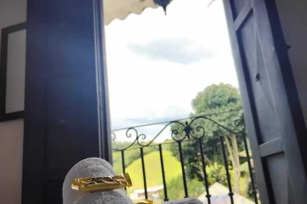 Salento House | Rincón Magico a 4 Cuadras del Parque, Vista Hacia la Montaña Para Ti,tu Familia!