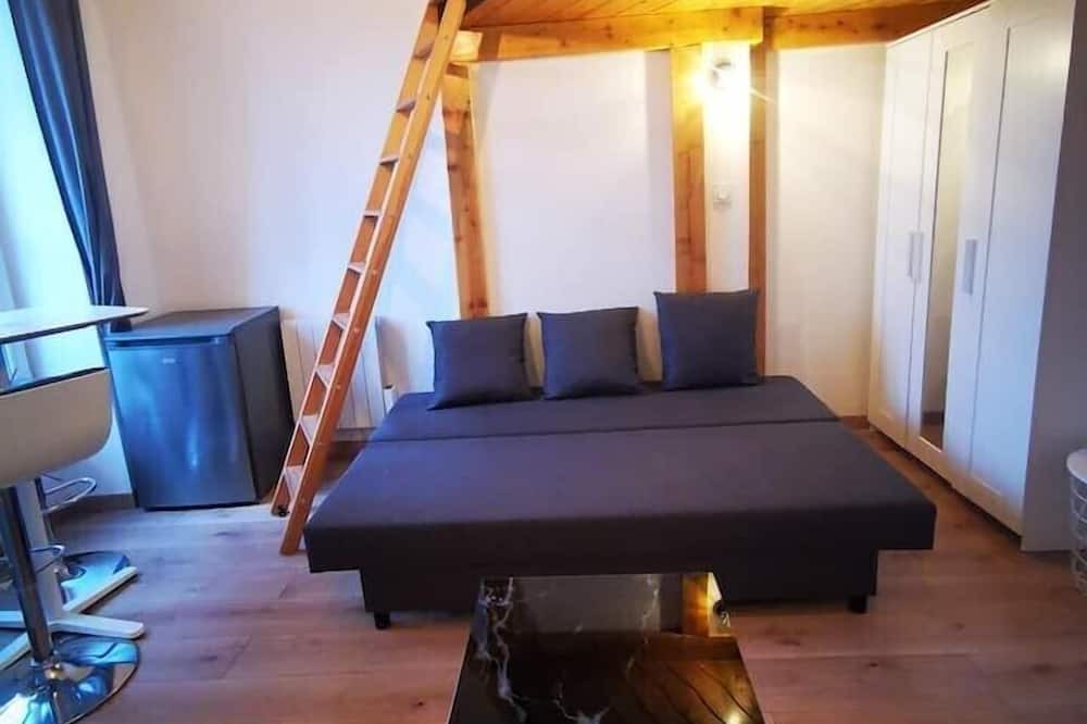 La Demi - Lune Apartment | Studio Hypercentre Tassin - 2