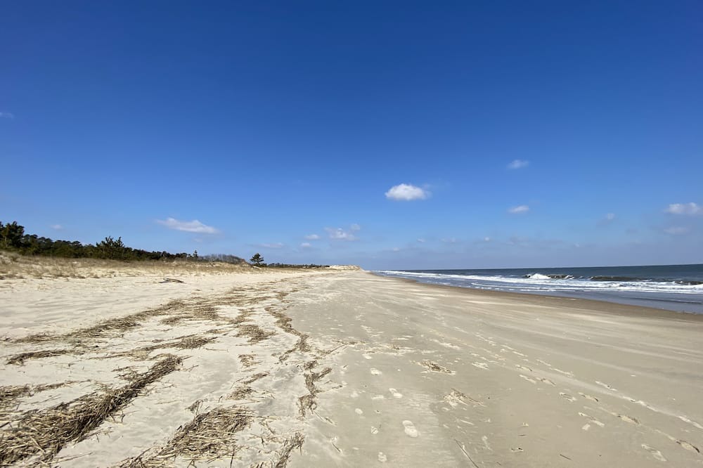 Milford House | Detached in law suite. Murphy bed, close to the hospital, 20 mins from the beach