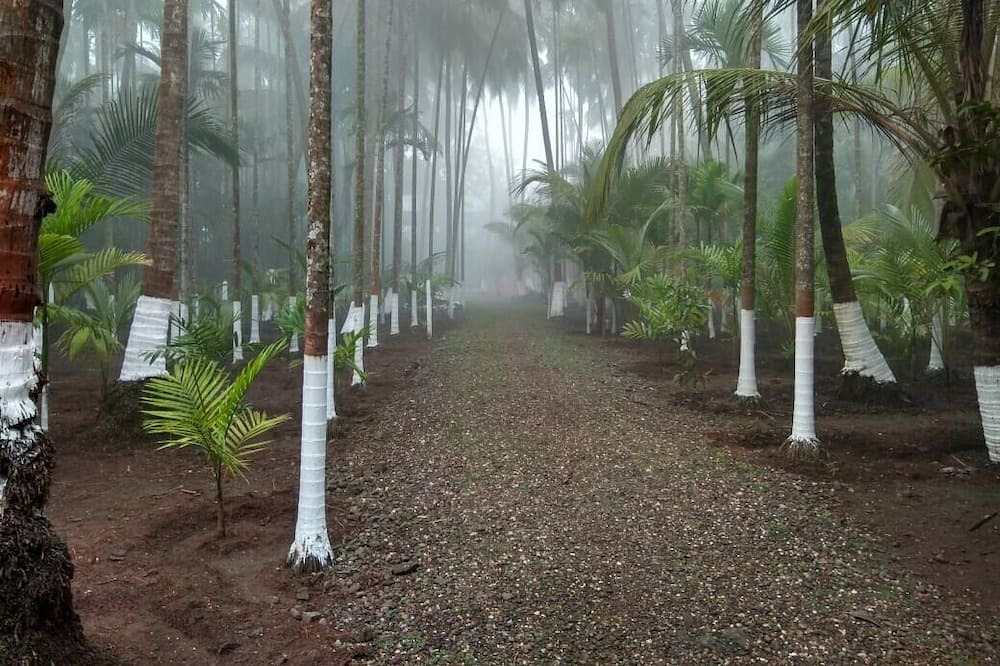 Alibaug House | Anandamay is the place for relaxation with your loved ones & perfect for couples
