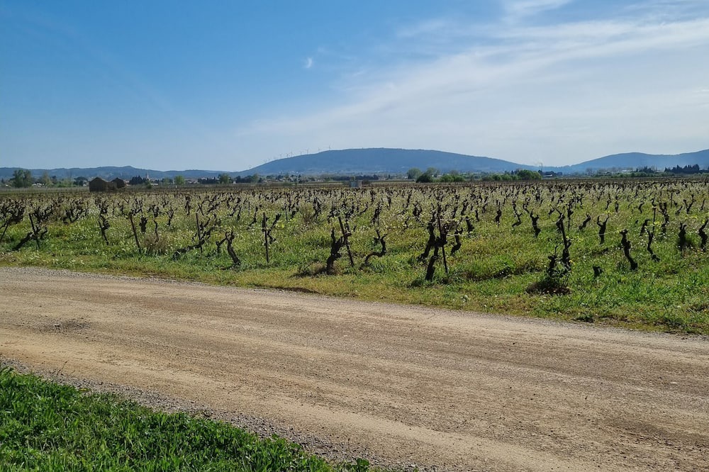 Olonzac Cottage | Cottage Chaleureux Face aux Vignes Pour un Séjour Détente Pour Toute la Famille