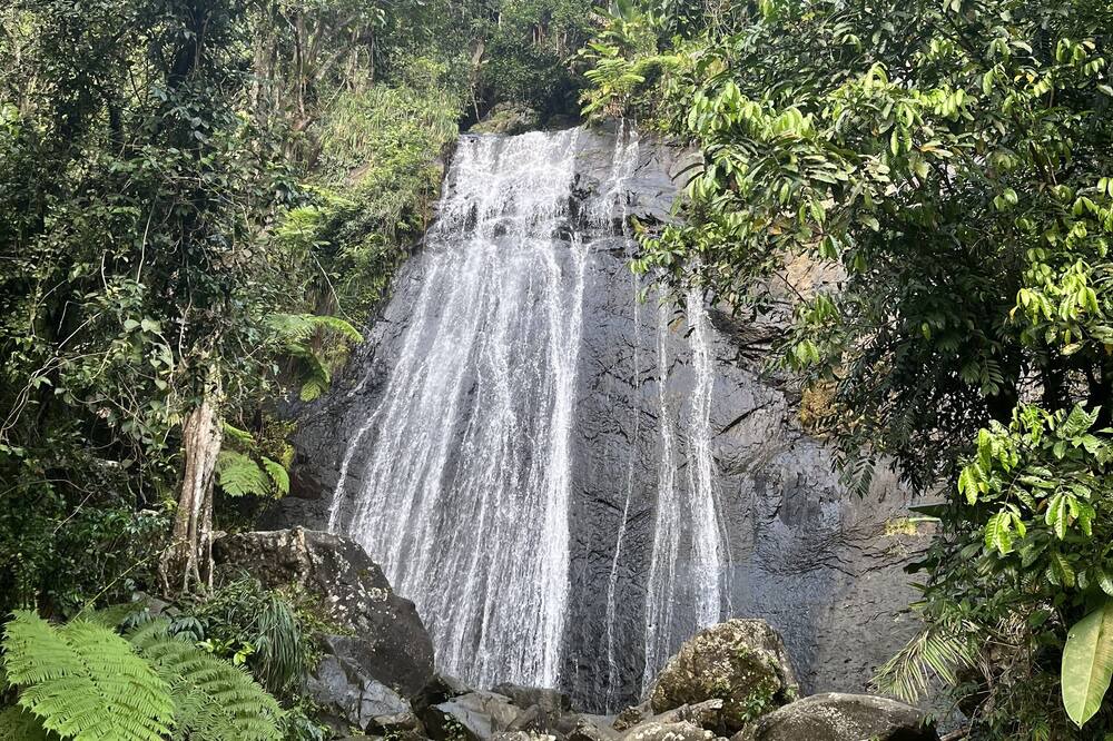 Zarzal Bed & Breakfast | Tranquil Guest Room Nestled in El Yunque Region. 5mins. From Beach & Rainforest!