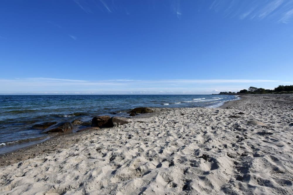 Hohenfelde Apartment | "Seagull nest" on the Baltic Sea beach