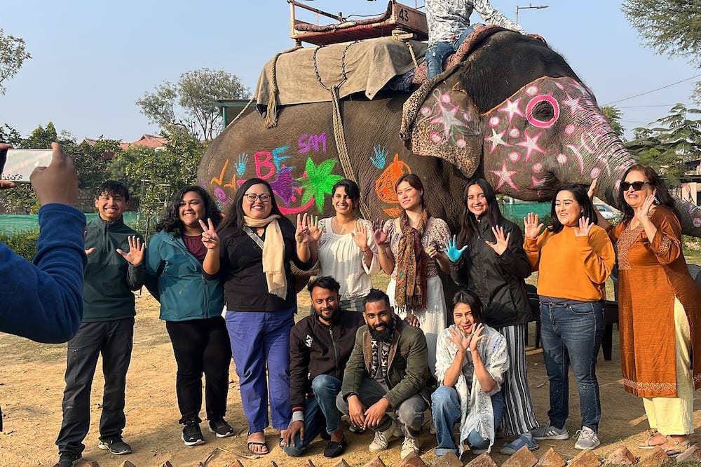 Pink City House | Room 1 - You can spend time with elephants by going close them