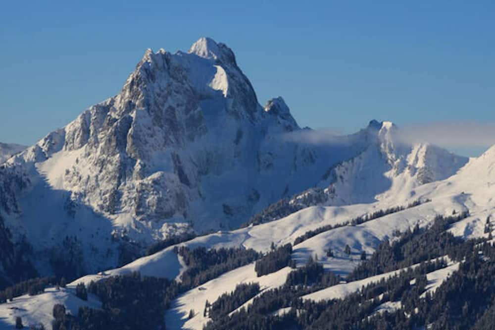 Rougemont Apartment | Gstaad , Switzerland skiing from exclusive Rougemont chalet apartment,