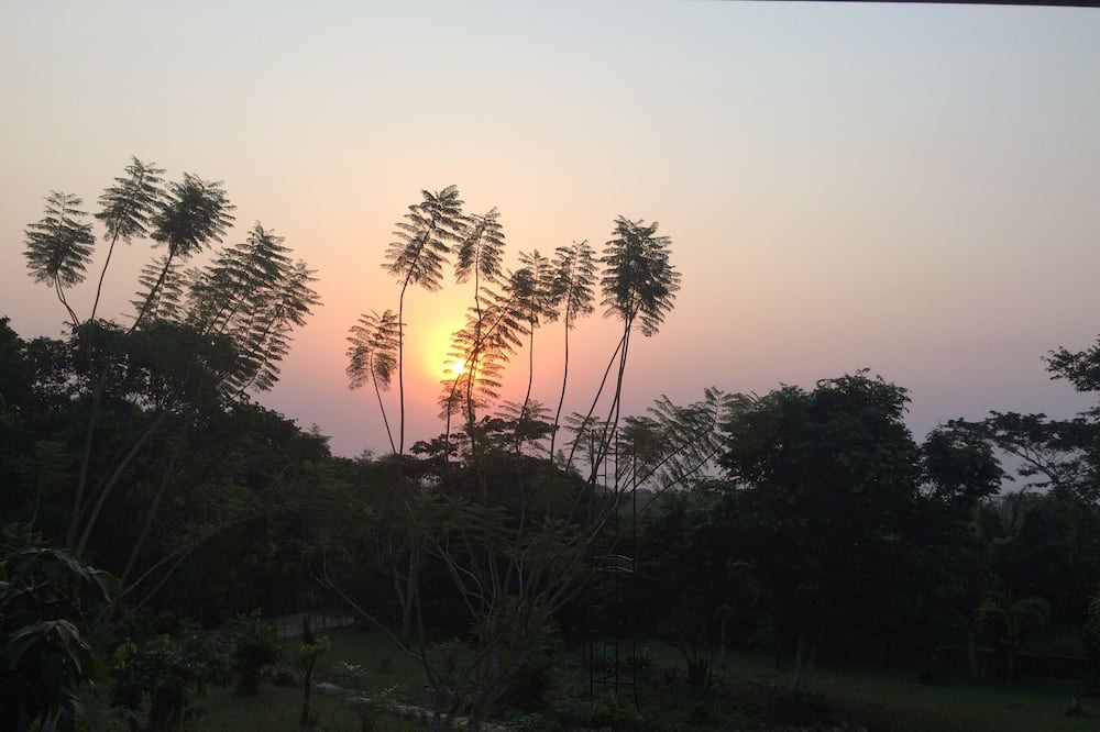 Aburi Bed & Breakfast | Cosy, personal, family-friendly nature retreat surrounded by trees and fresh air