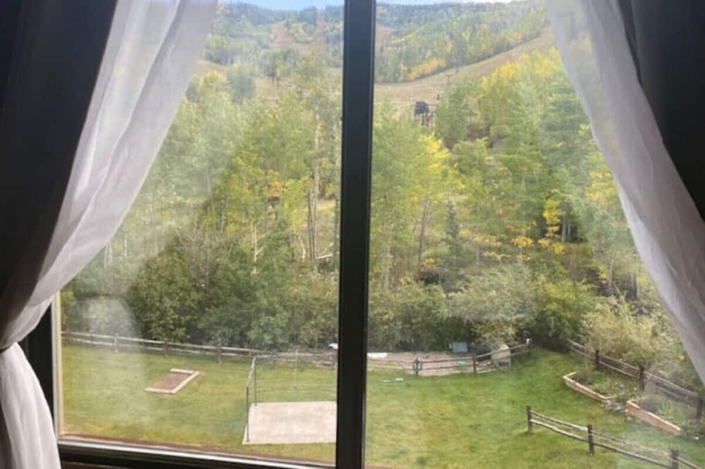Glenwood Springs Cabin | Mountain View Room #6