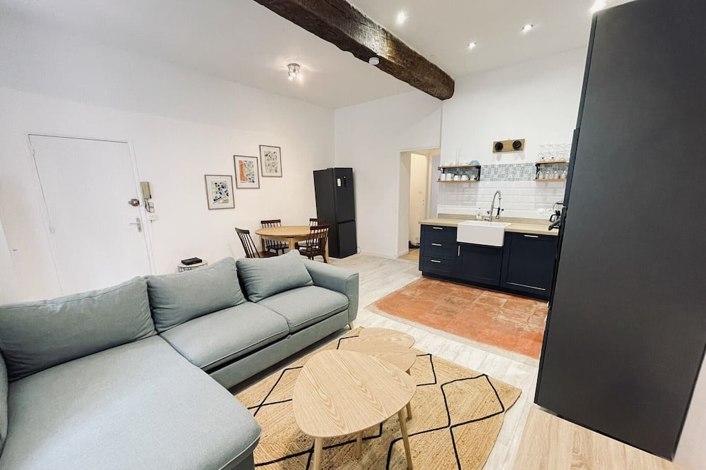 Saint - Aubin - Dupuy Apartment | Cozy nest with terrace in Toulouse