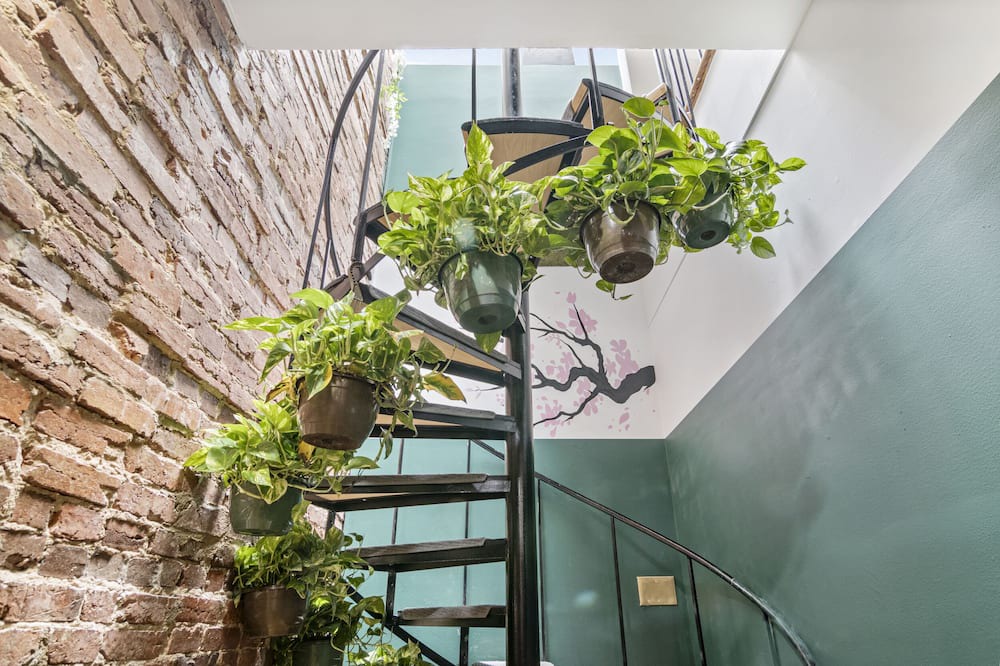 H Street Corridor Bed & Breakfast | The London Flat! - Capital Hill DC
