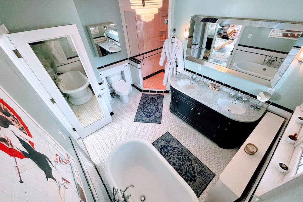 Detroit House | The Historic Mazer Mansion