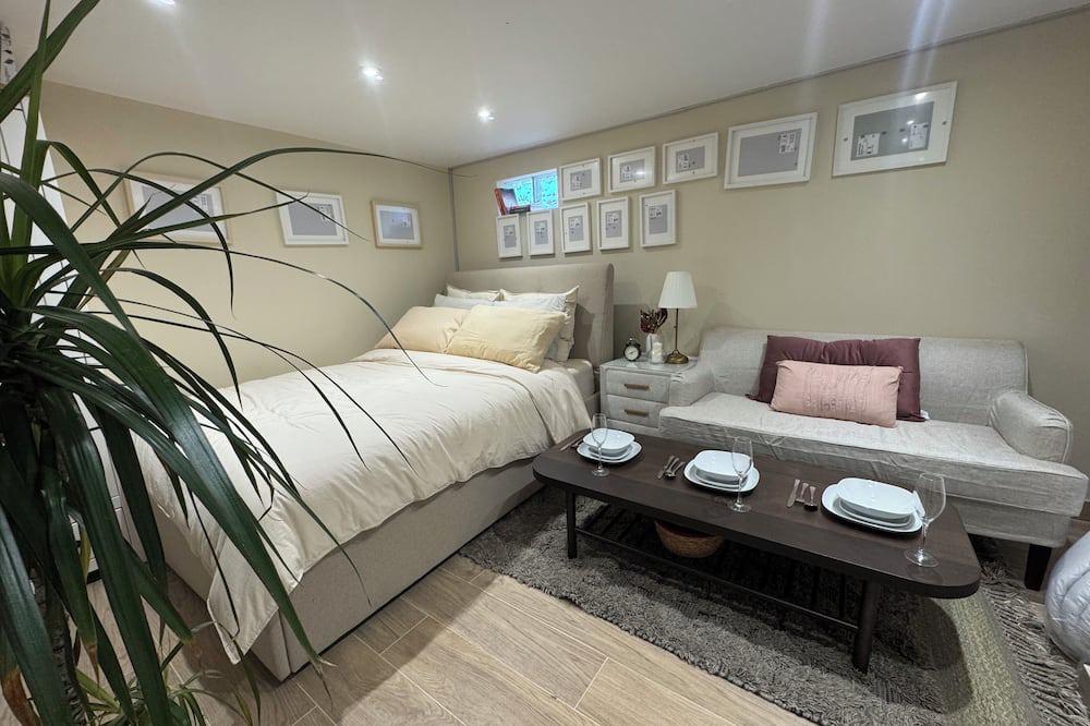 Illkirch-Graffenstaden Apartment | Furnished F1 apartment