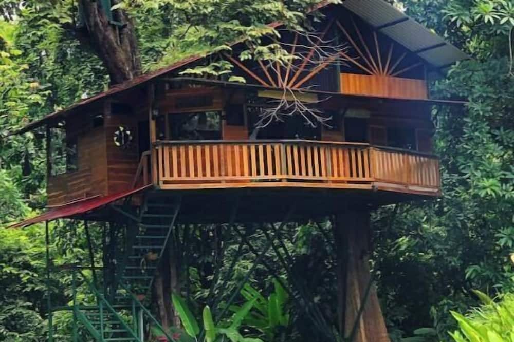 Jaco House | Treehouse with butterfly and exotic fruit farm