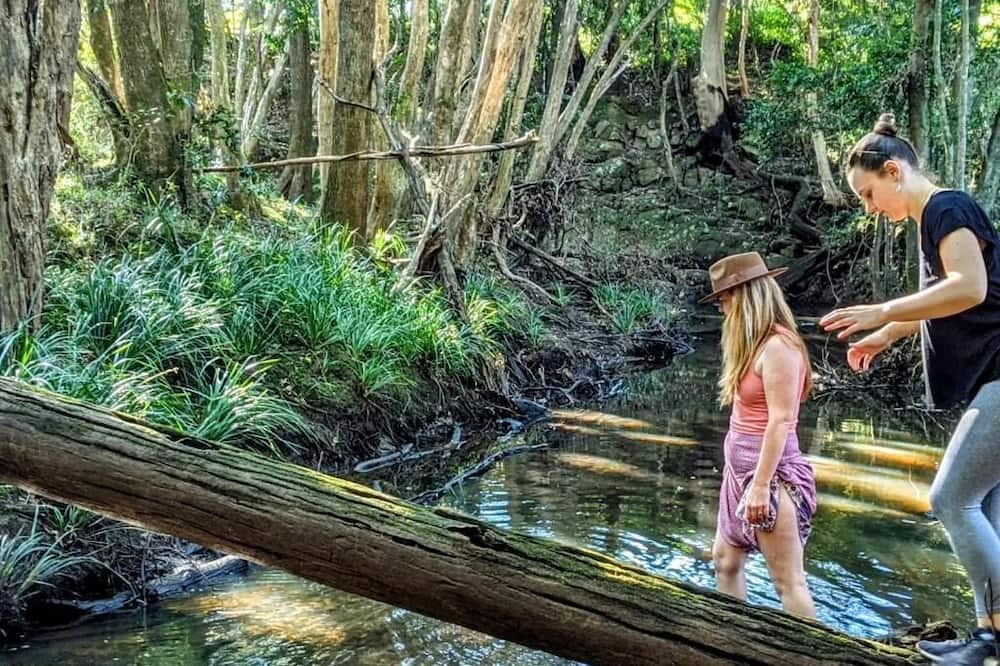 Bunyah Bed & Breakfast | Forest Creek Retreat - Double Room with Mountain View