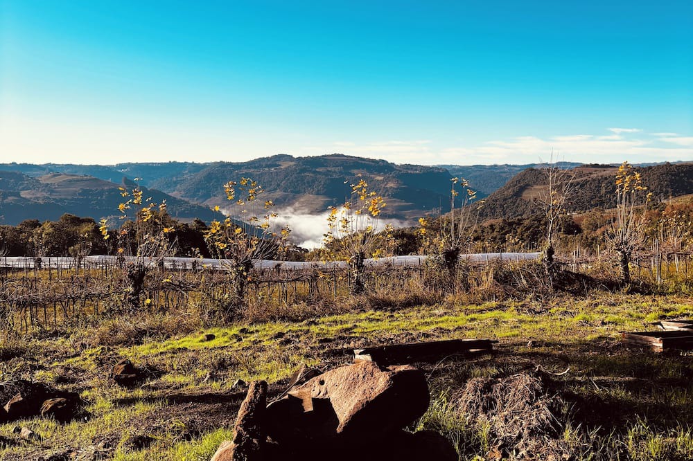 Monte Belo do Sul Cottage | Charming and sustainable cottage in fabulous Monte Belo do Sul, RS.