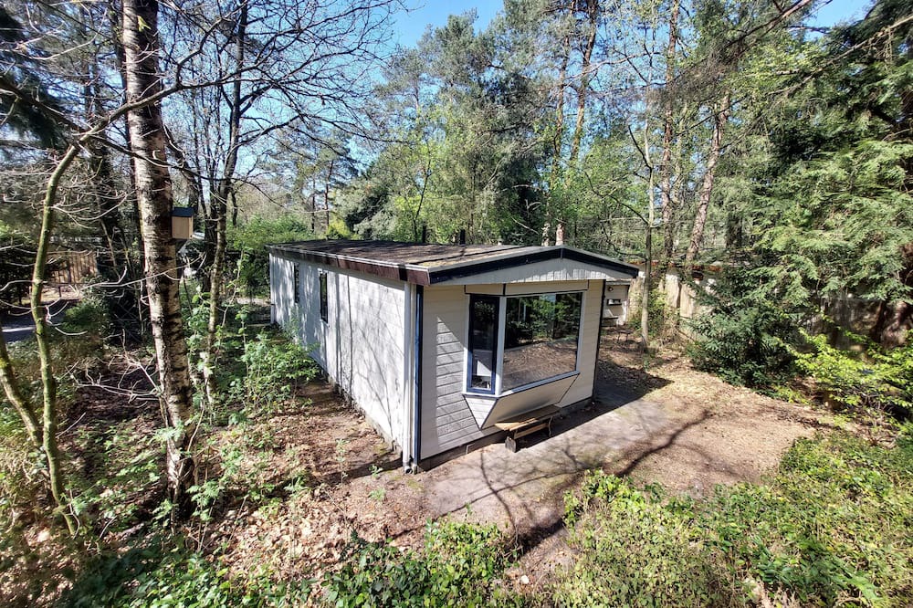 Hattemerbroek Ski Chalet | Forest cottage Dennenrust on the Veluwe in Hattemerbroek. Pets are welcome!