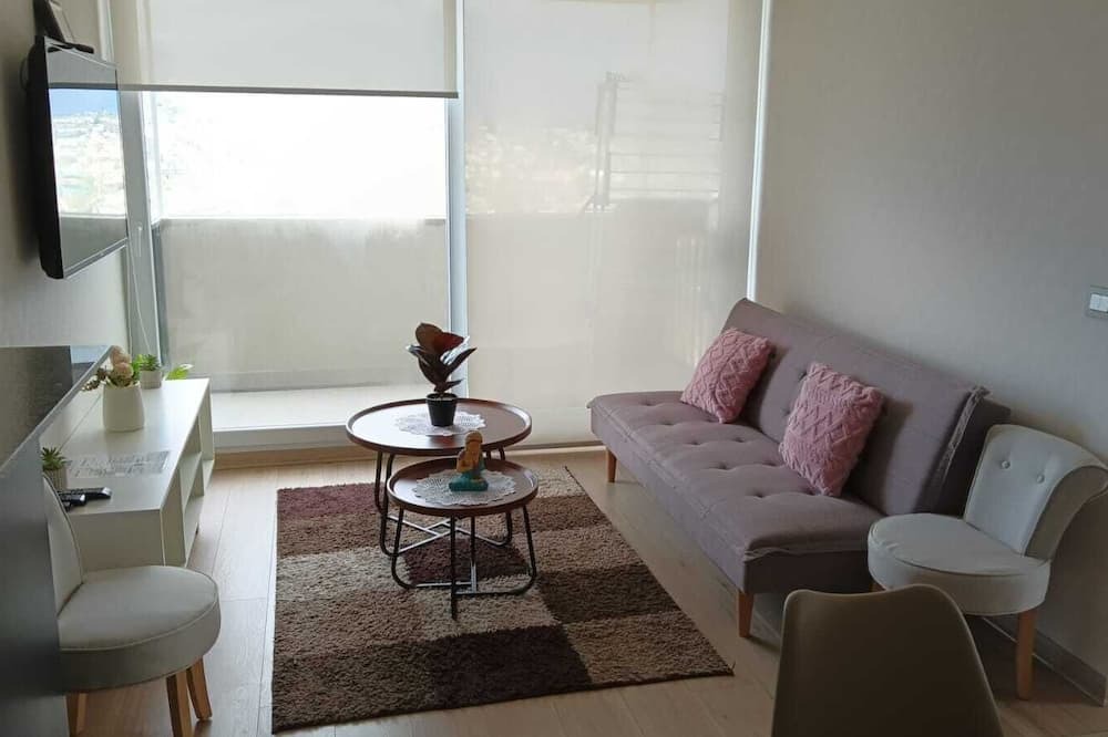 Vina del Mar Apartment | Viña del Mar