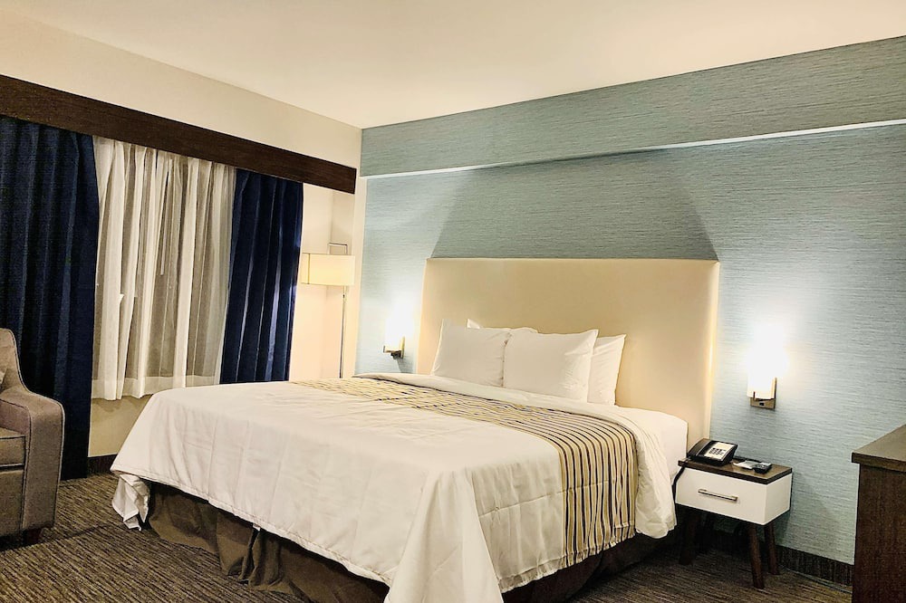 Northeast Mississauga Hotel | 5 minutes away from Pearson airport