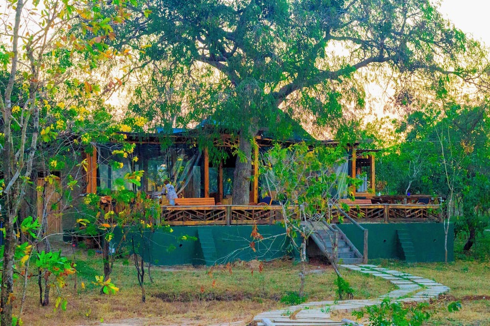 Morogoro Bed & Breakfast | Daga Camp - Amazing bed & breakfast with AC in Mikumi