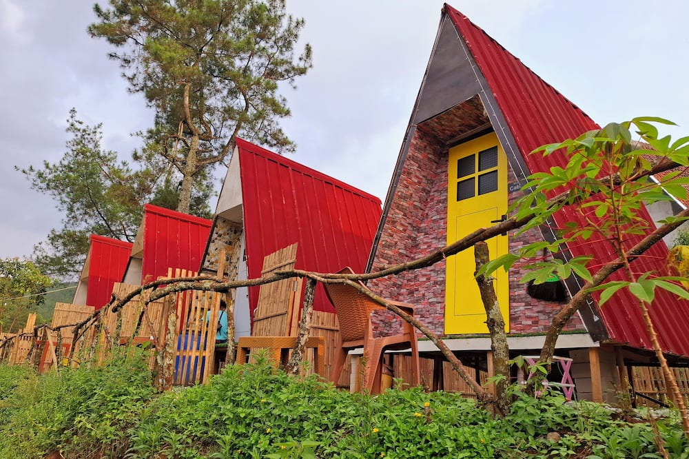 Pasirjambu Cabin | Ciwidey Jungle Camp & Villa