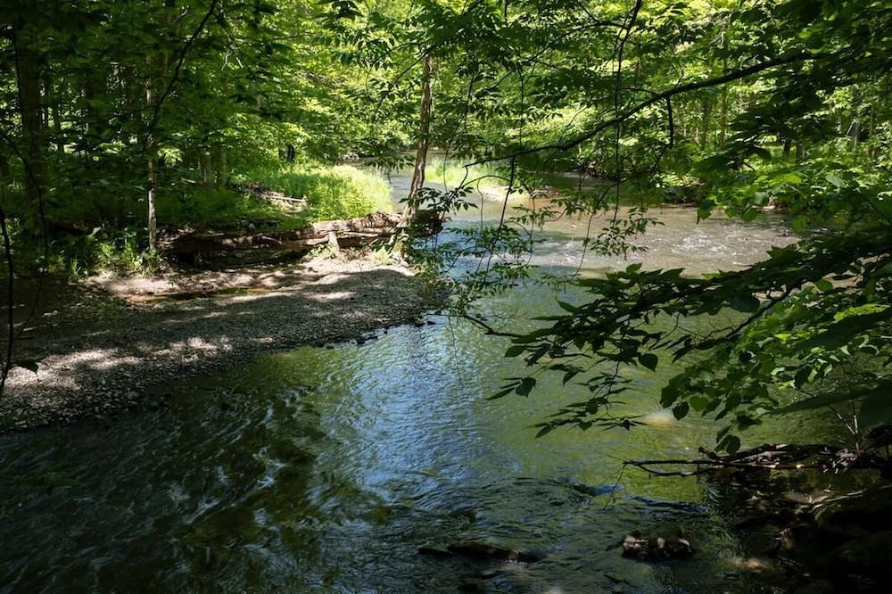 Tivoli House | Modern House, Wild Gardens, Peaceful Creeks - E 1