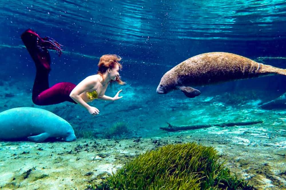 Spring Hill House | Weeki Wachee Crystal blue Springs river house with Kayaks