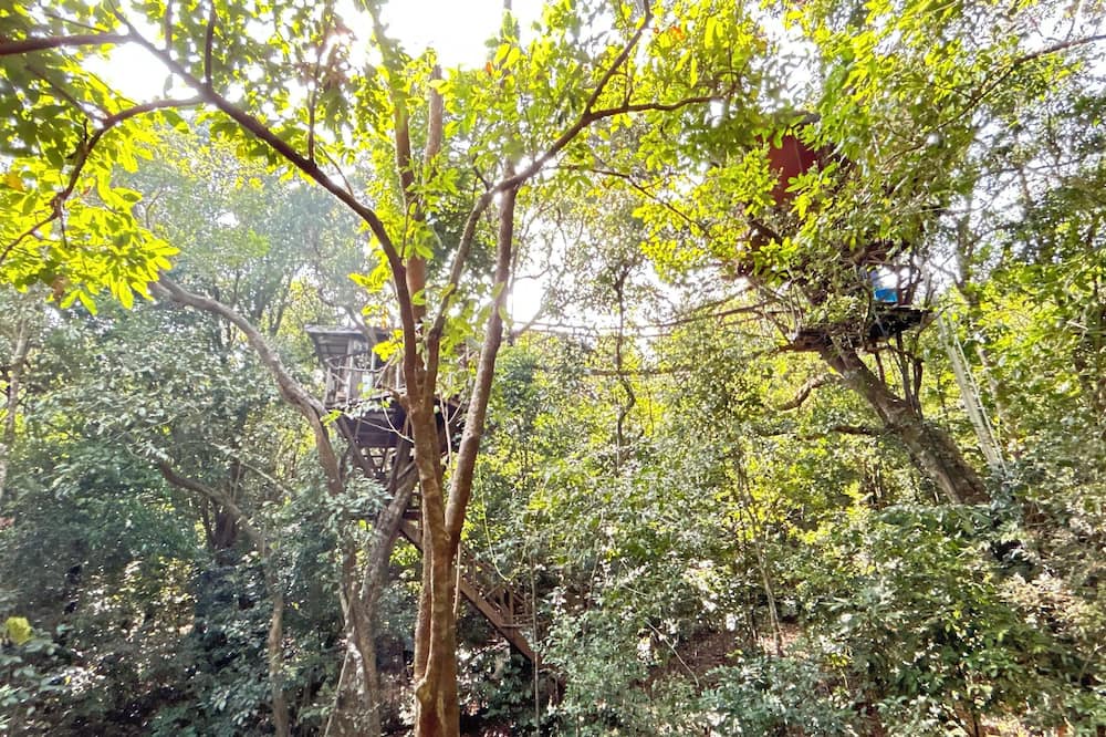 Sakleshpur Cabin | Treedom Treehouse Eco-Restoration getaway in the Jungles of South India