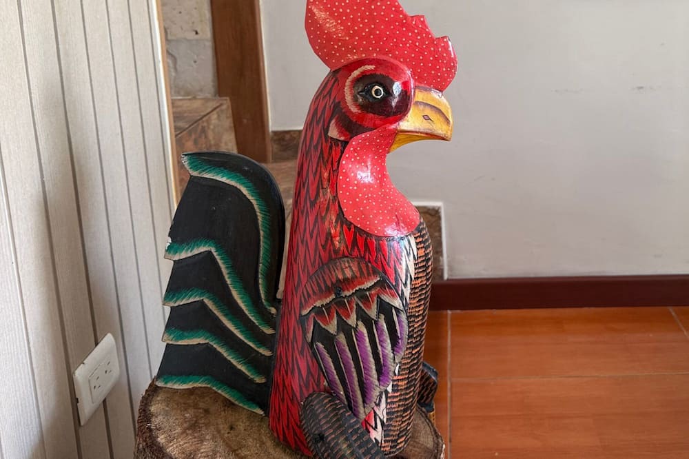 Pereira House | Complete family house, close to downtown and circunvalar Pereira!