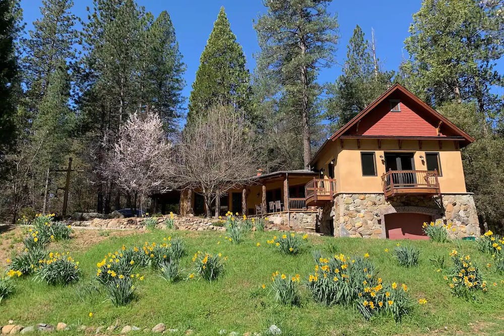 Nevada City Cabin | Designer's Spacious Nature Retreat Close To Town with AC, & WiFi in Nevada City